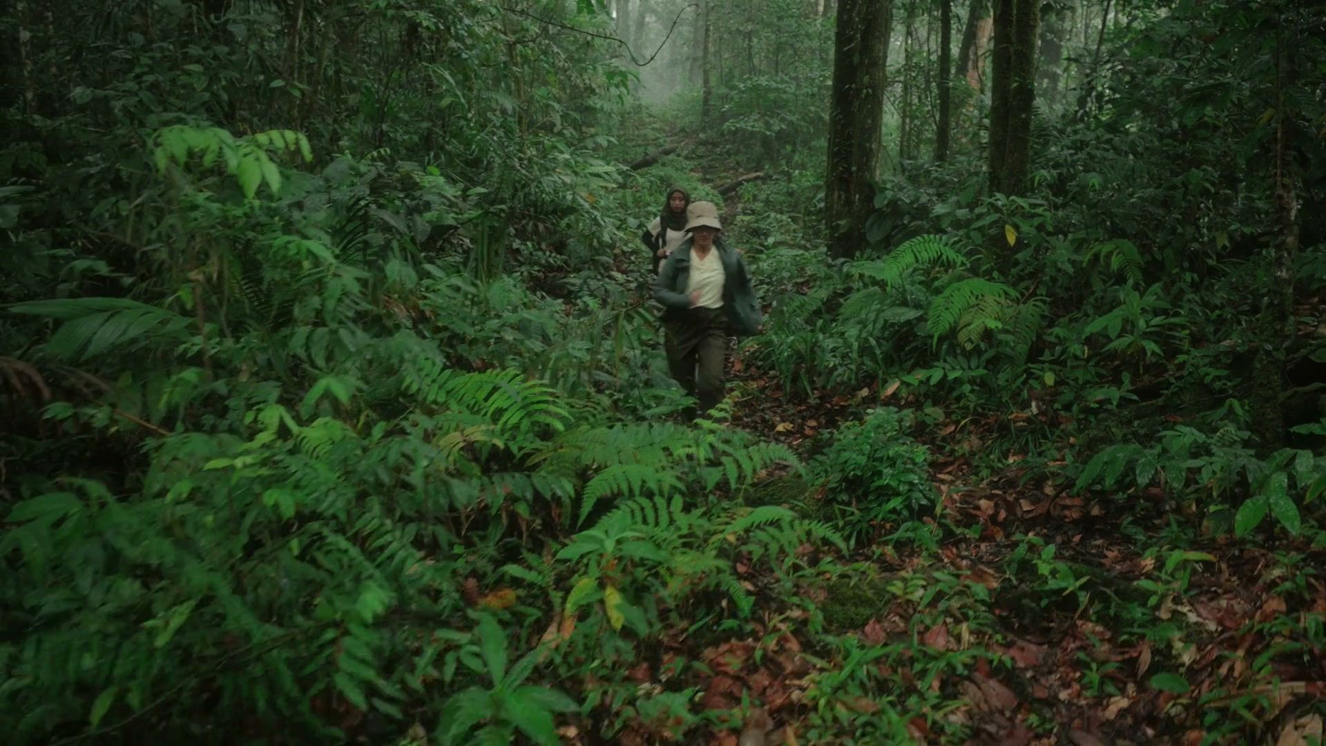 Still from The Lost Bornean Rainbow Toad